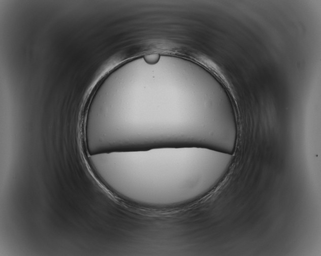 X0000085041235200703051019