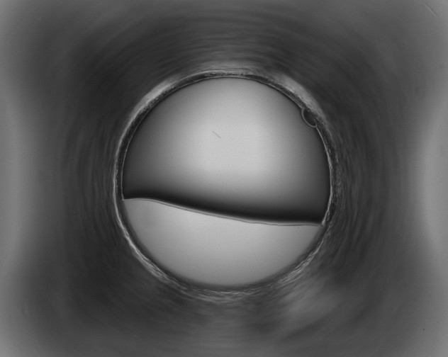 X0000085041237200703051019