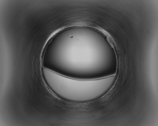 X0000085041238200703051019