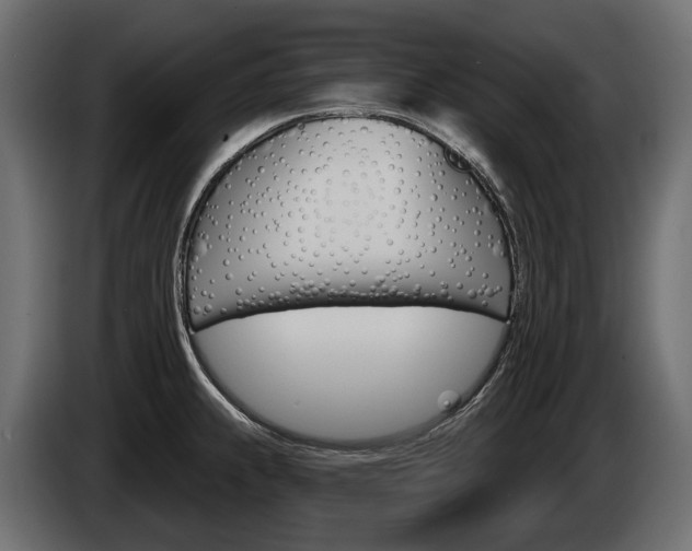 X0000085041239200703051019