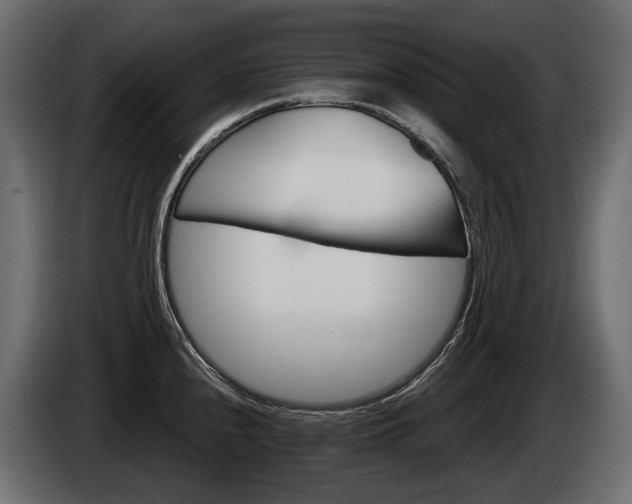 X0000085041240200703051019