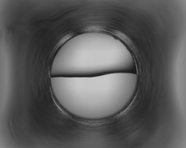 X0000085041241200703051019
