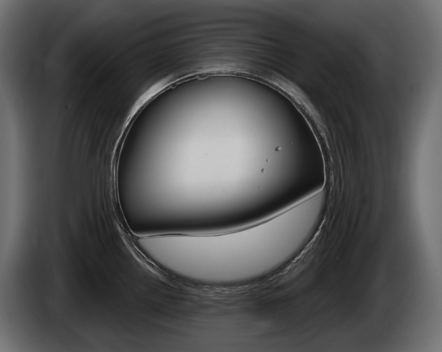 X0000085041242200703051019