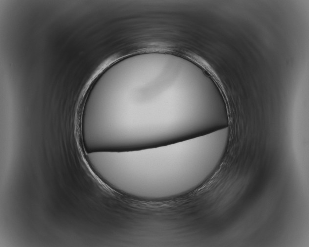 X0000085041243200703051019