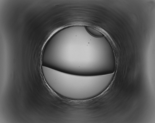 X0000085041244200703051019