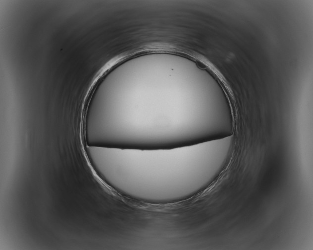 X0000085041245200703051019