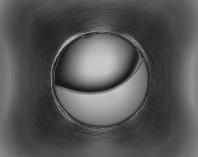 X0000085041246200703051019