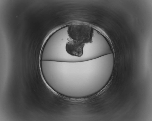 X0000085041247200703051019