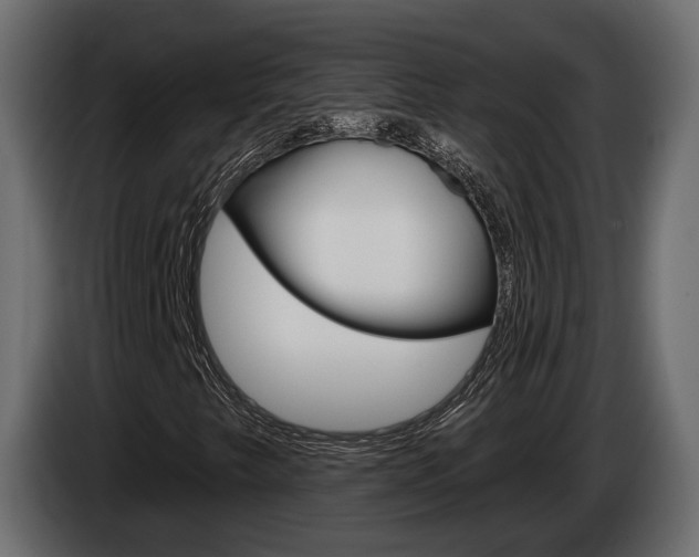 X0000085041249200703051018