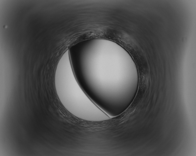 X0000085041250200703051018