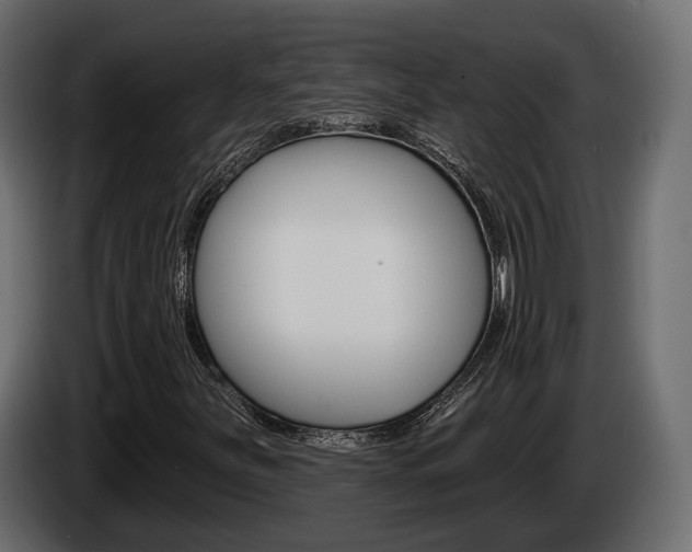 X0000085041251200703051018