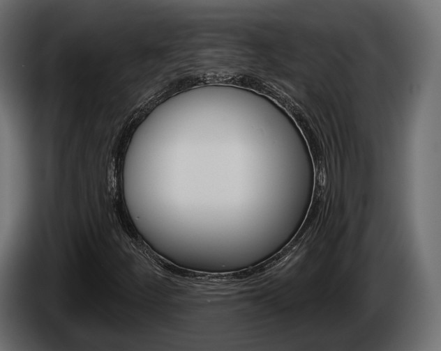 X0000085041252200703051018