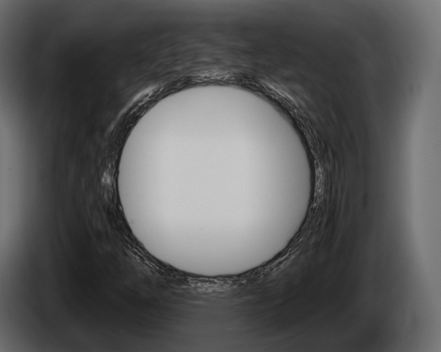 X0000085041254200703051018