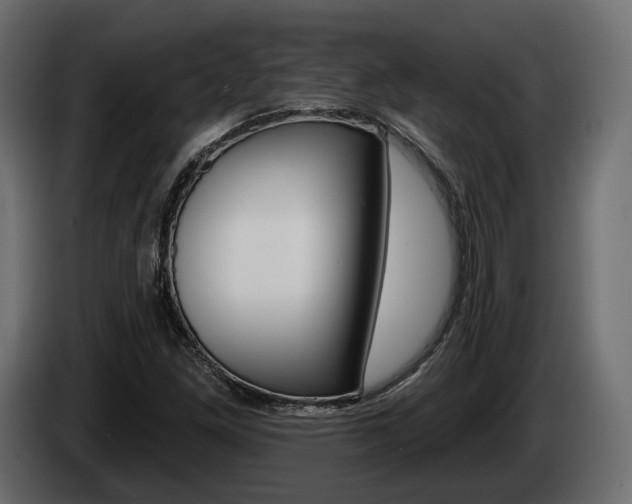 X0000085041261200703051018