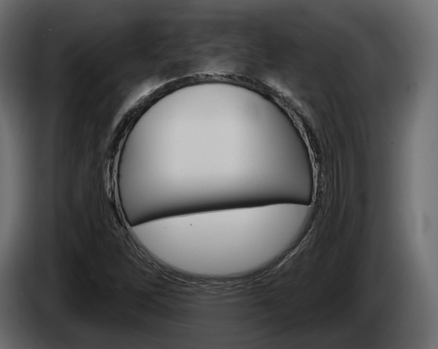 X0000085041262200703051018