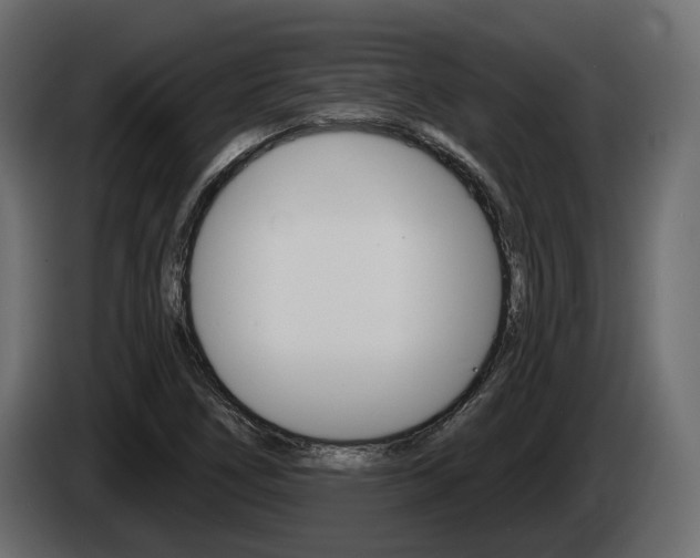 X0000085041266200703051018
