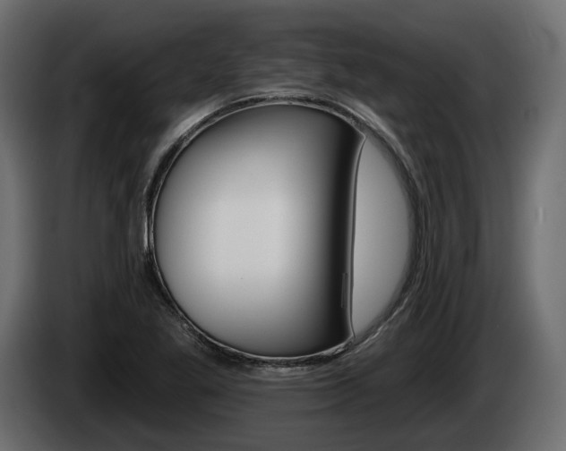 X0000085041269200703051018