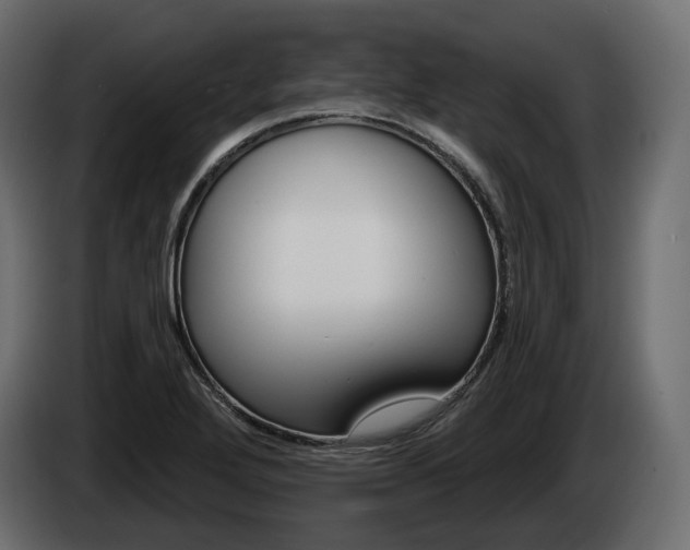X0000085041272200703051018