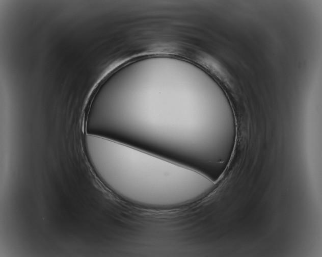 X0000085041276200703051018