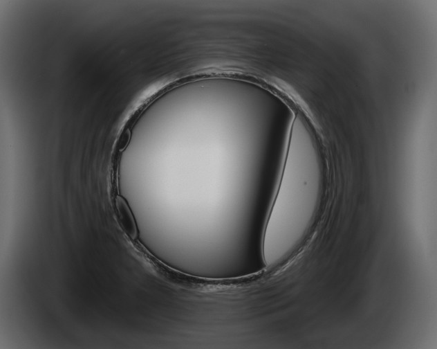 X0000085041277200703051018