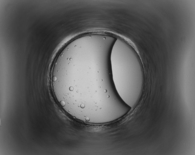 X0000085041279200703051018