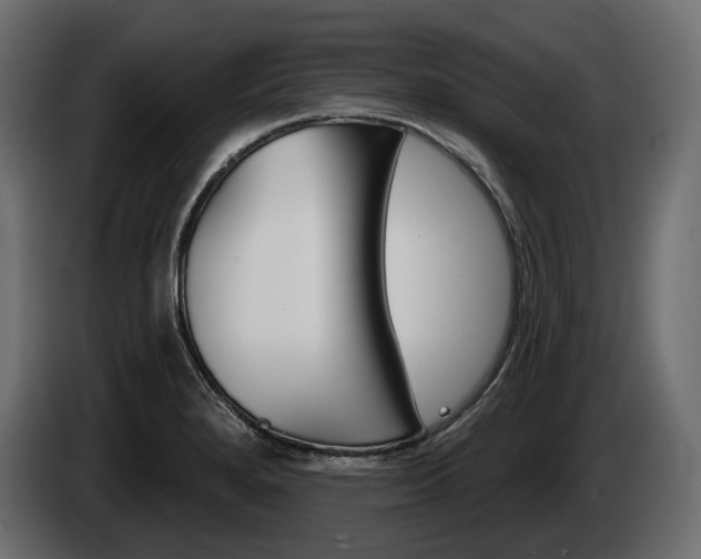 X0000085041280200703051018