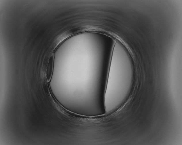 X0000085041281200703051018