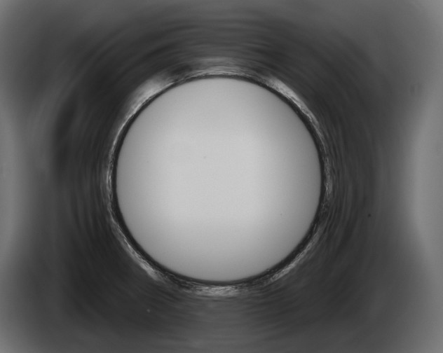 X0000085041282200703051018