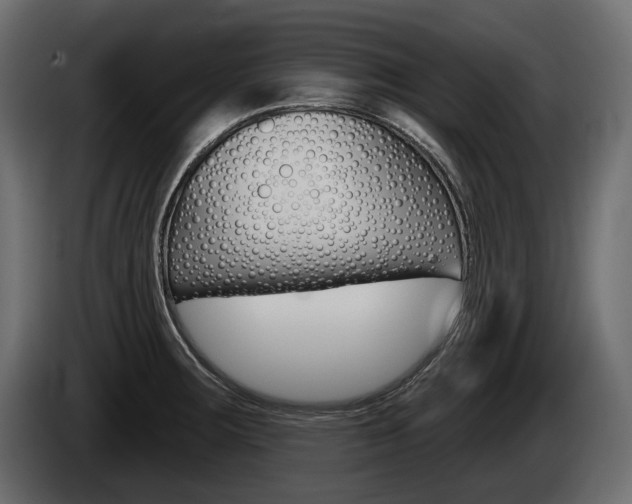 X0000085041283200703051018