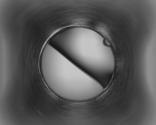 X0000085041284200703051018