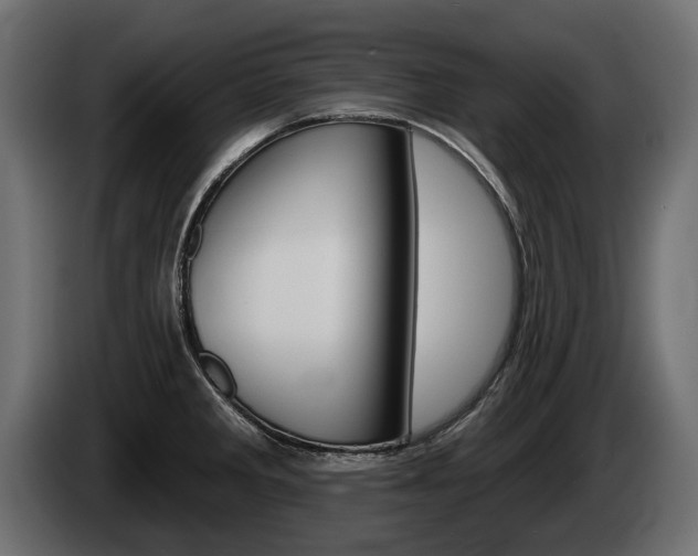 X0000085041285200703051018
