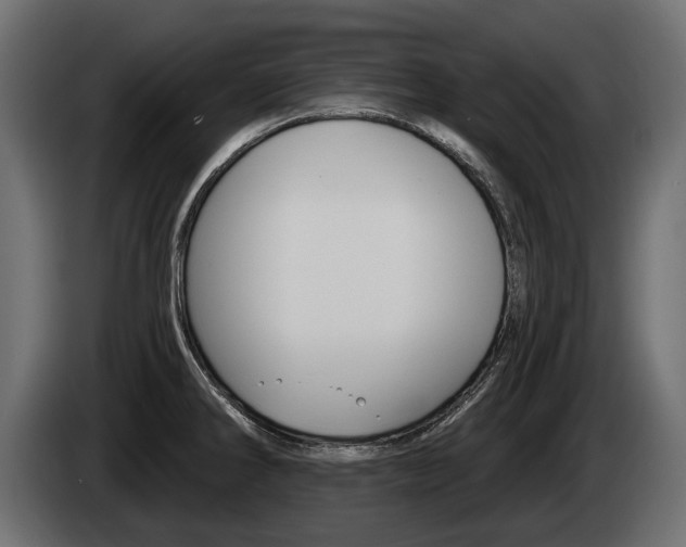 X0000085041286200703051018