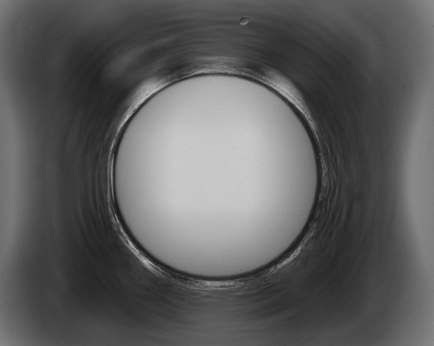 X0000085041290200703051018