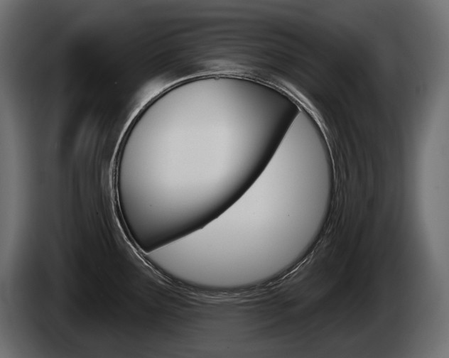 X0000085041291200703051018