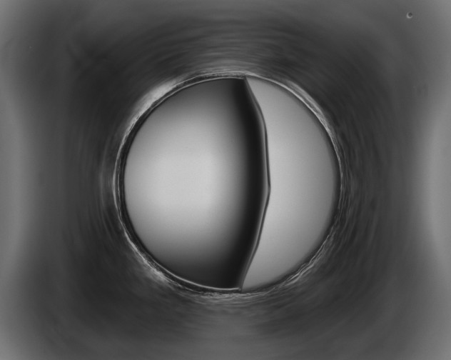 X0000085041293200703051018