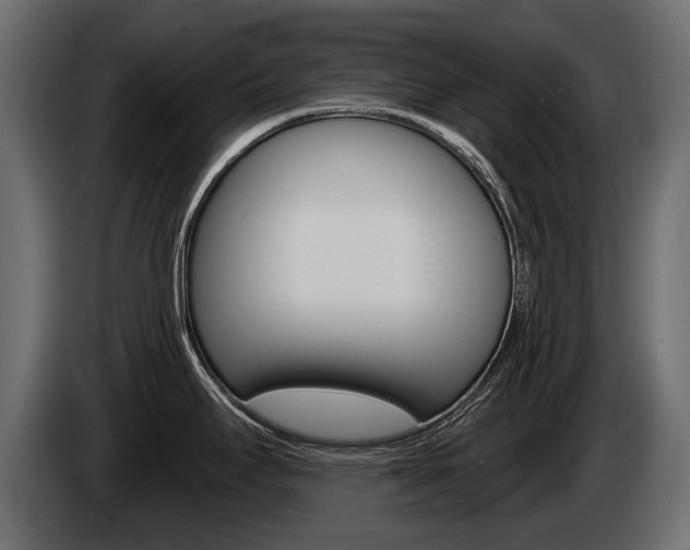 X0000085041295200703051018
