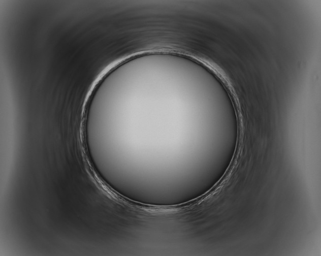 X0000085041296200703051018