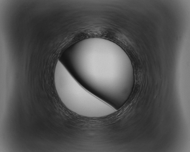 X0000085041297200703051017