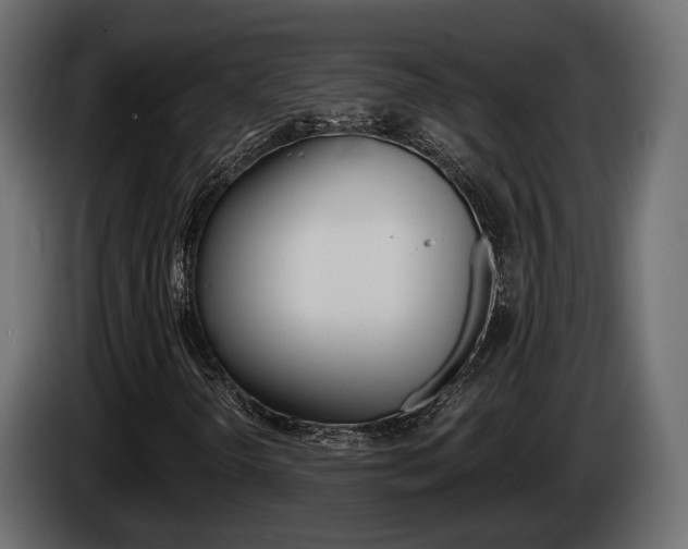 X0000085041298200703051017