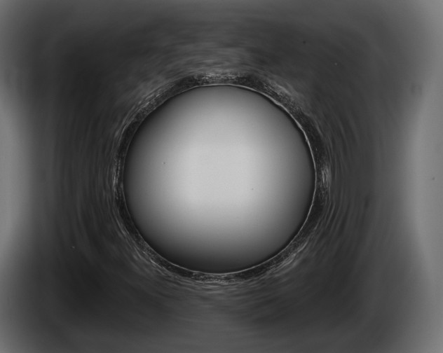 X0000085041300200703051017