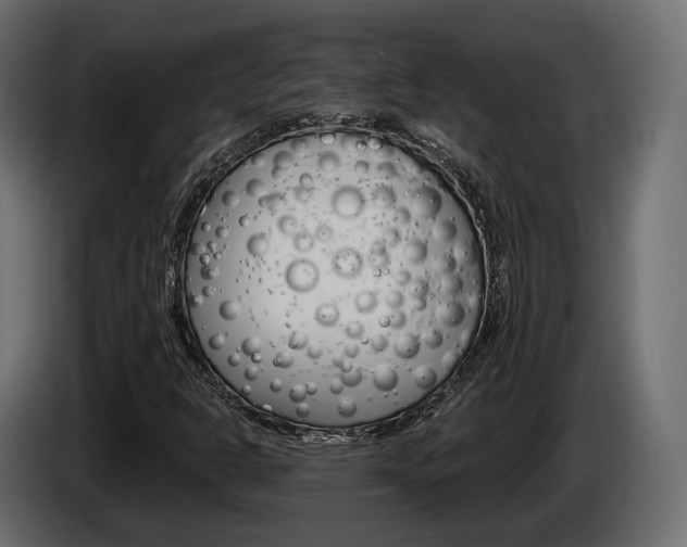 X0000085041302200703051017