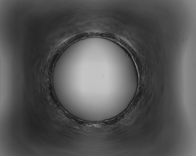 X0000085041303200703051017