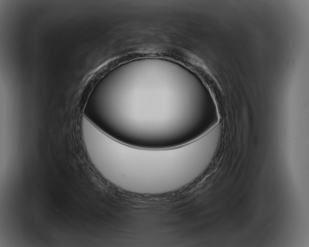 X0000085041304200703051017