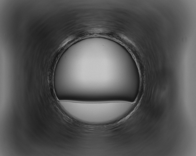 X0000085041305200703051017