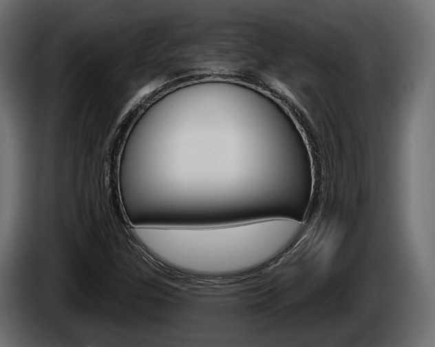 X0000085041307200703051017