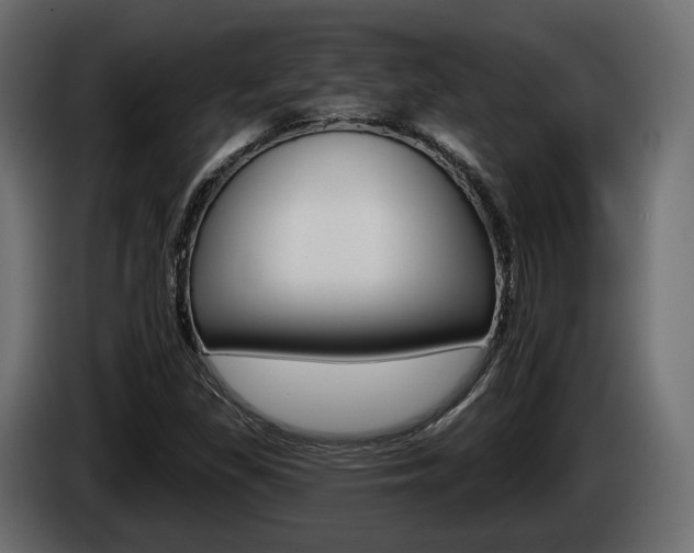 X0000085041309200703051017