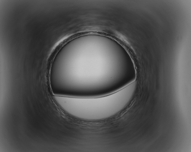 X0000085041312200703051017