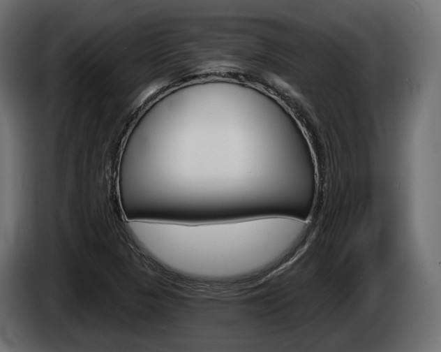 X0000085041313200703051017