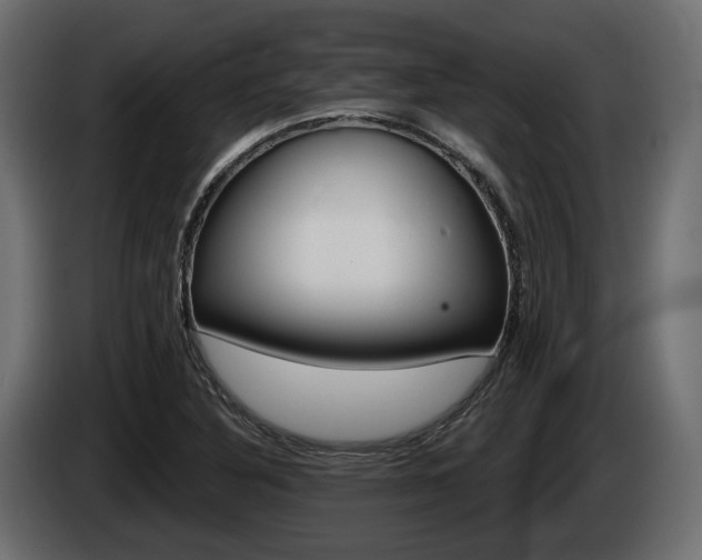 X0000085041316200703051017