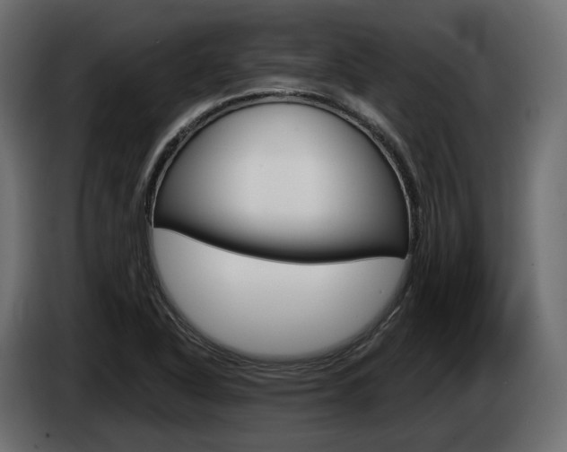 X0000085041318200703051017